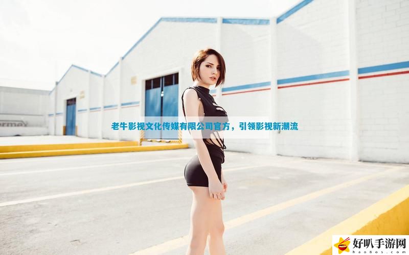 精品老牛文化傳媒有限公司